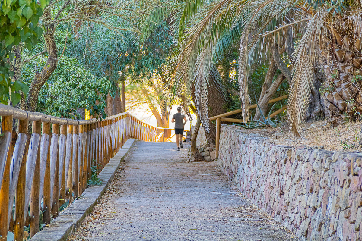 Sa Caminera