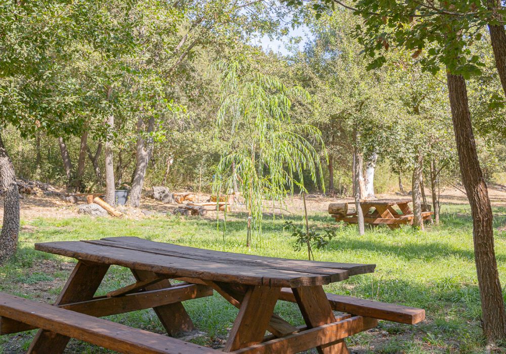 area-pic-nic-a-banari-sardegna