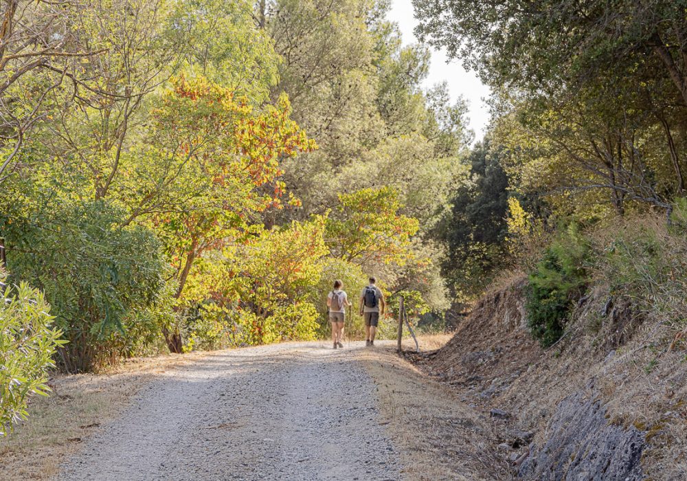 hiking-e-biking-a-banari-sardegna
